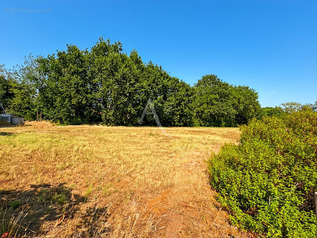 Terrain à CHALLANS