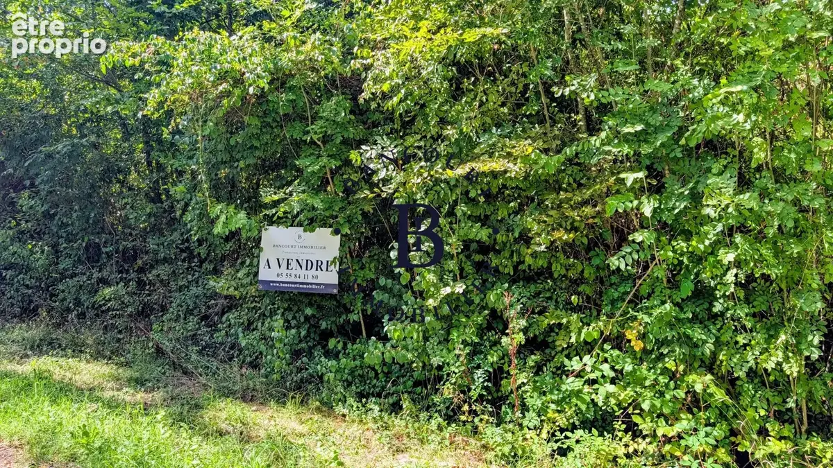 Terrain à COSNAC