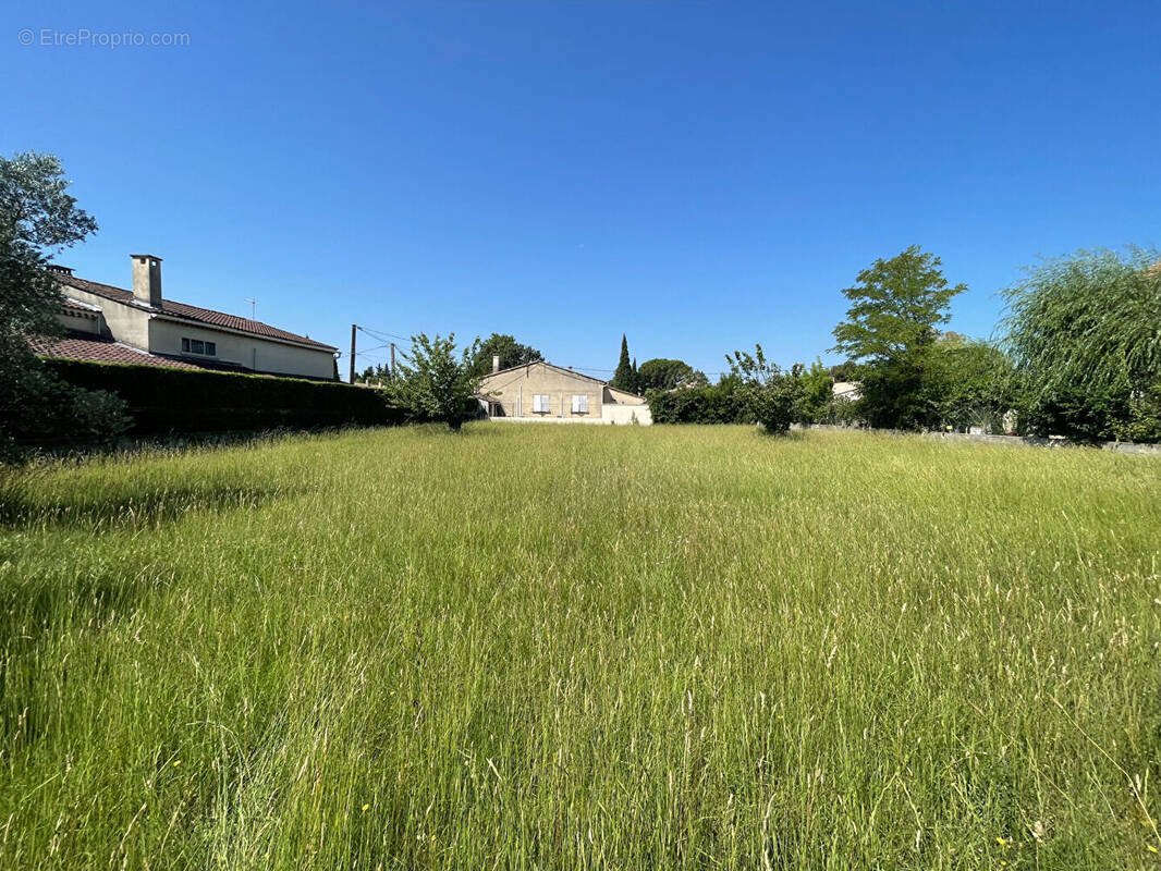 Terrain à ENTRAIGUES-SUR-LA-SORGUE