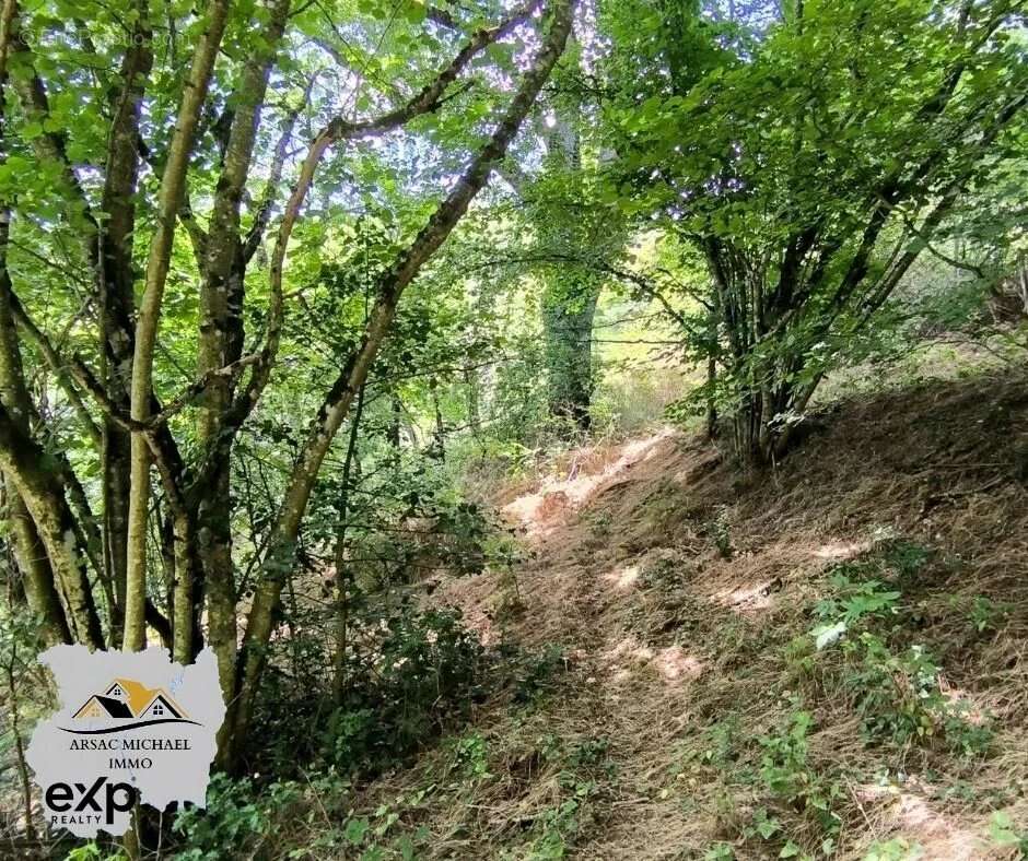 Maison à VERNET-LA-VARENNE