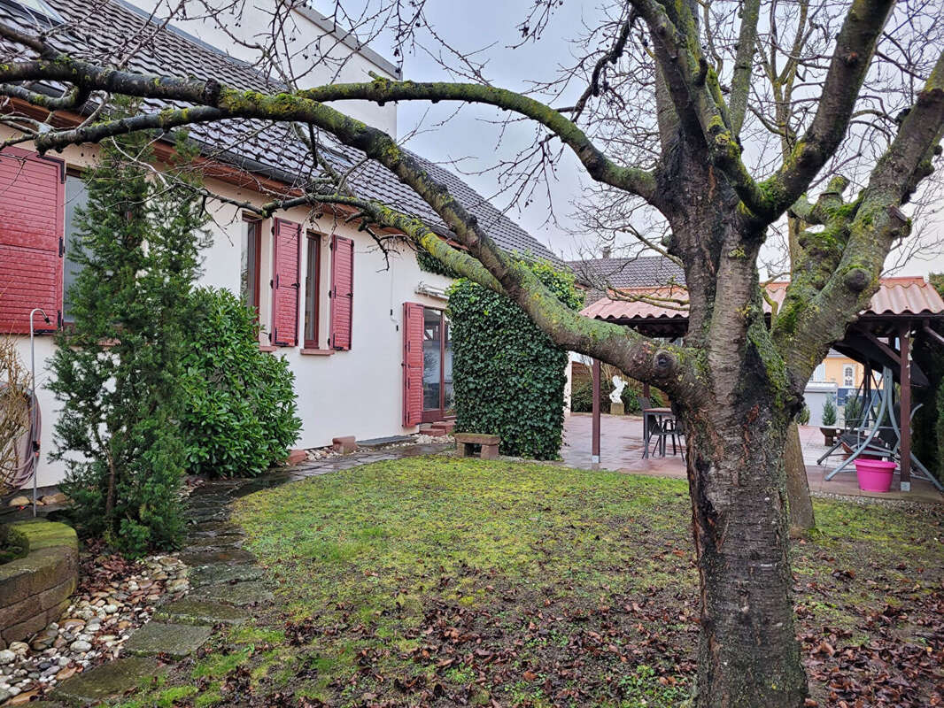 Maison à BALGAU