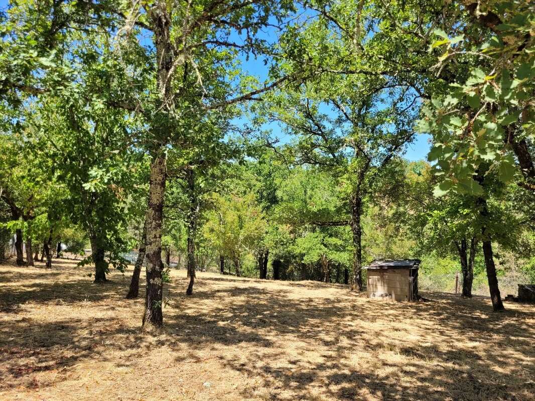 Belle maison familiale, avec piscine, dépendances et terrain de 1.7 ha - photo 2