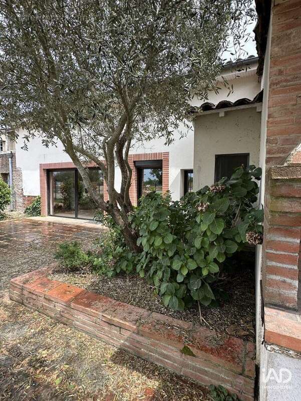 Photo 3 - Maison à QUINT-FONSEGRIVES