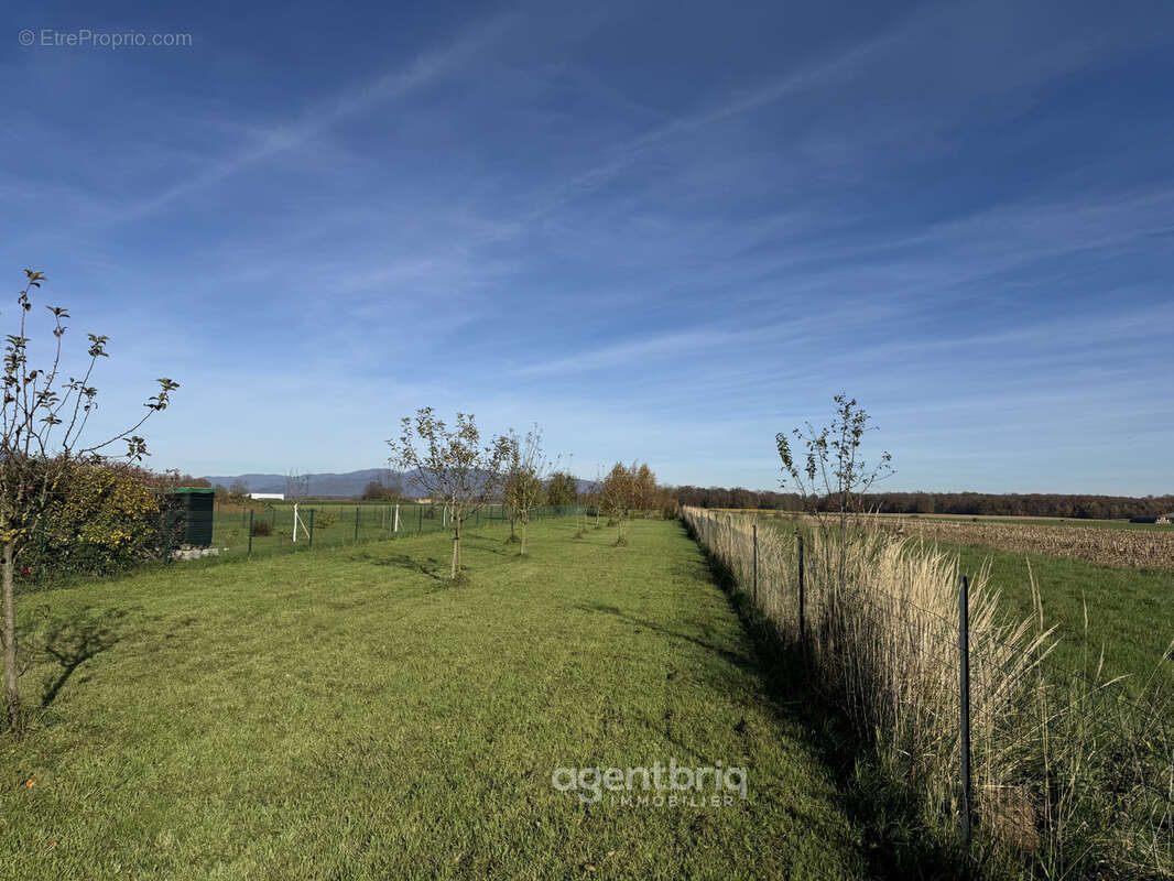 Maison à BERNWILLER
