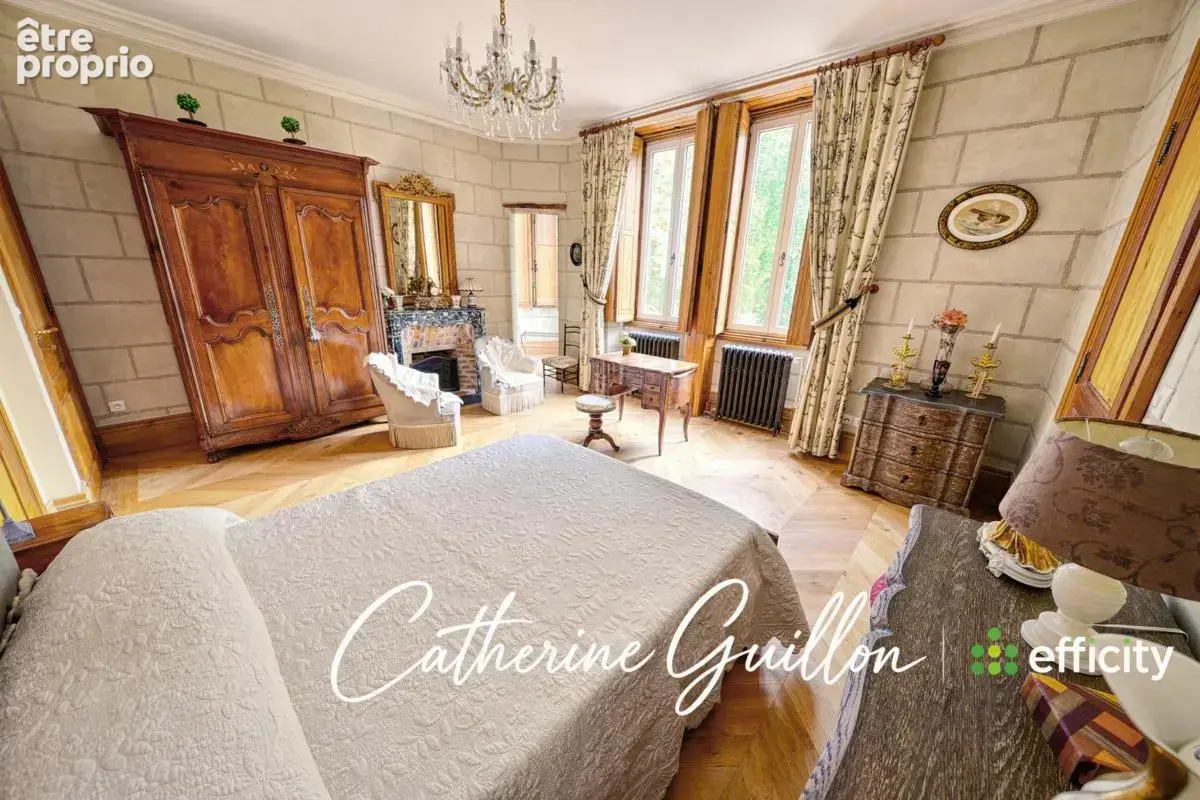 Maison 18 pièces 560 m² à vendre à Ingrandes (86220) - photo 15