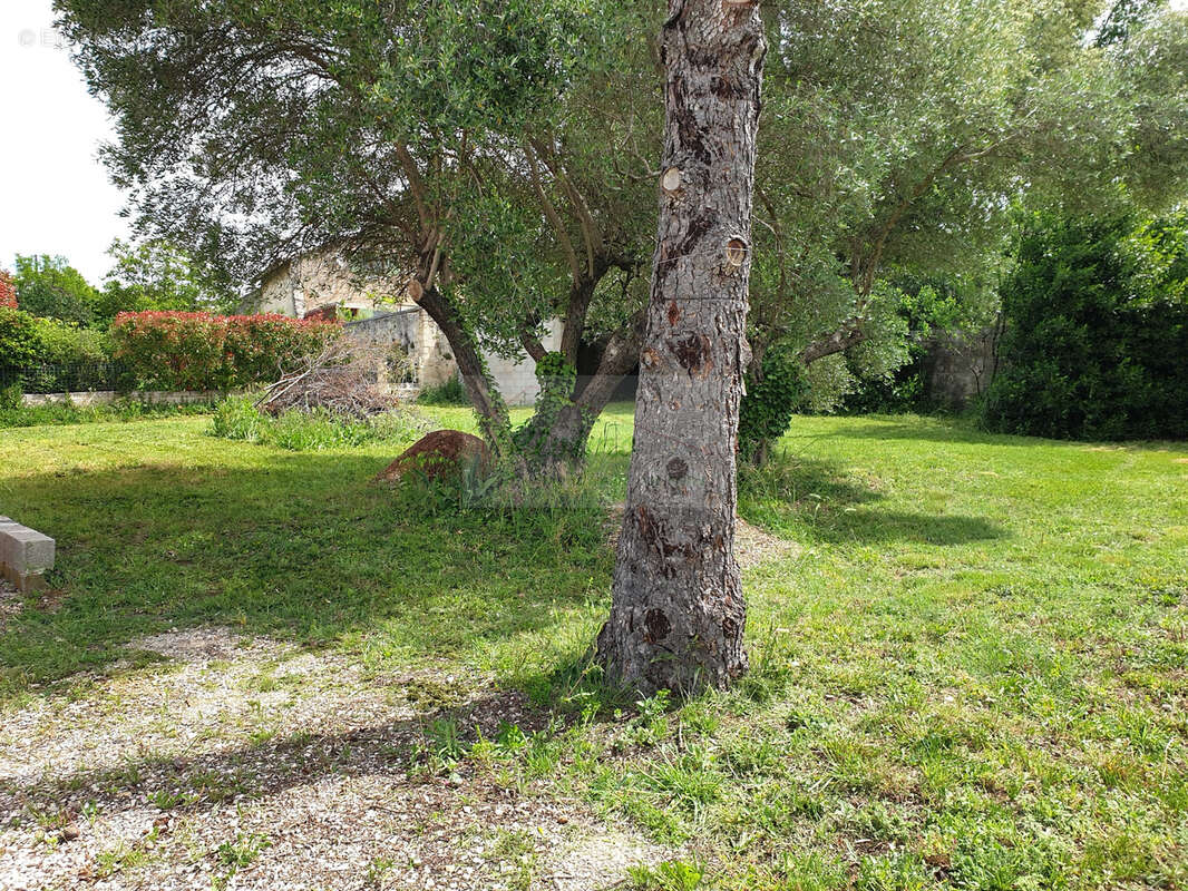 Terrain à SATURARGUES