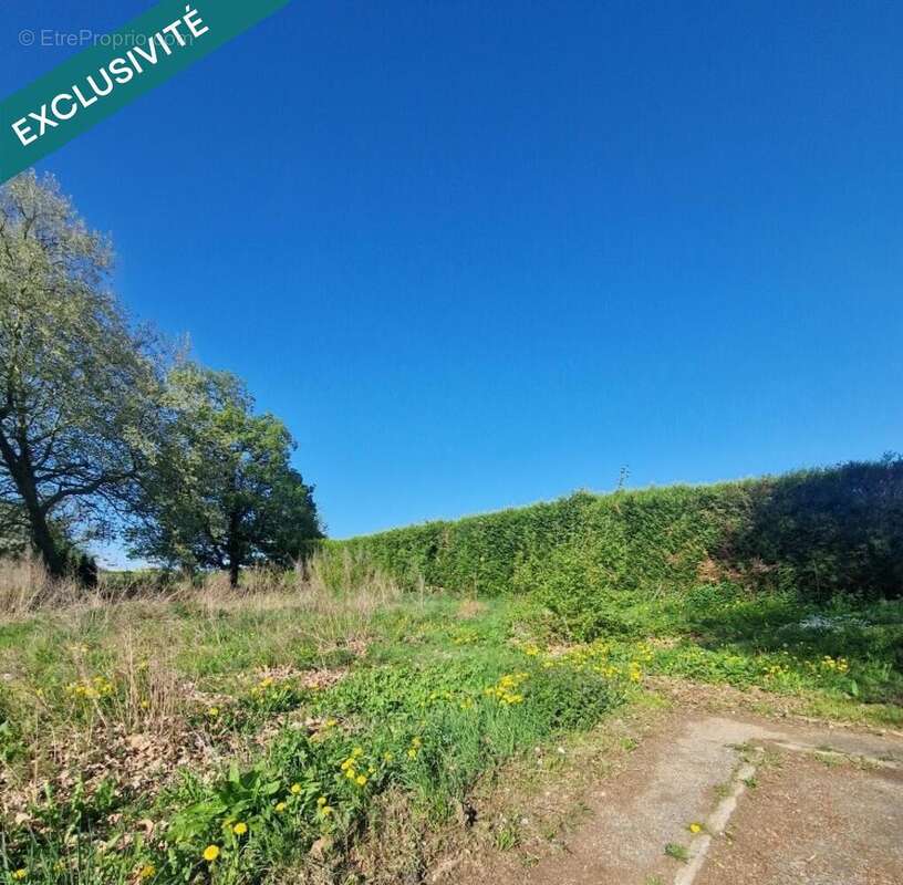 Photo 2 - Terrain à PIERREPONT