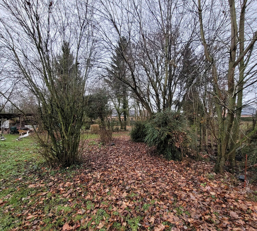 Terrain à AVESNES-SUR-HELPE