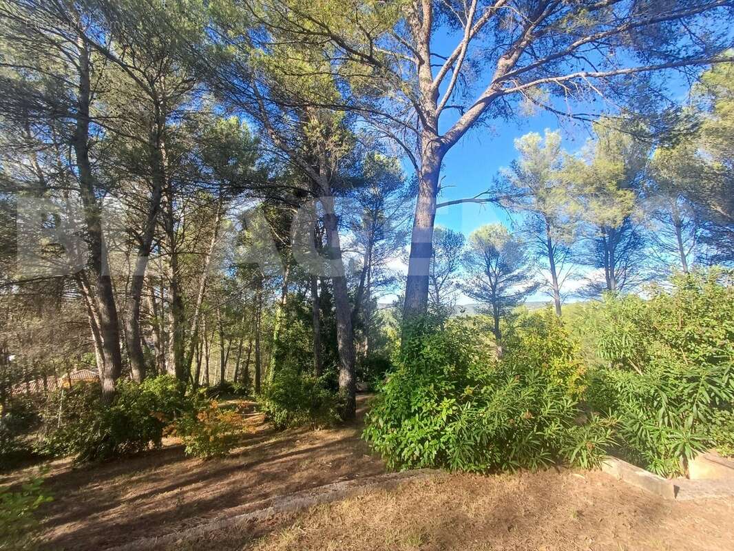 photo destrousse extérieur jardin - Maison à LA DESTROUSSE