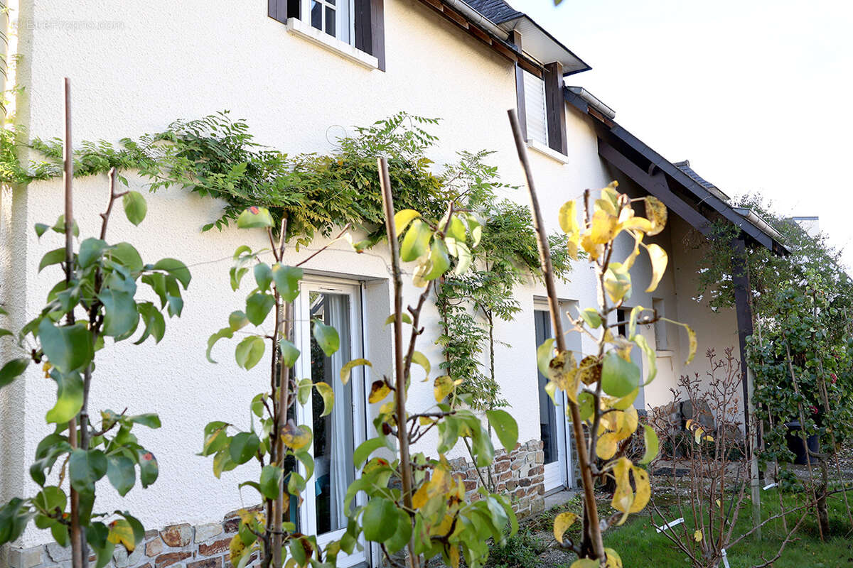 Maison à CHANTEPIE