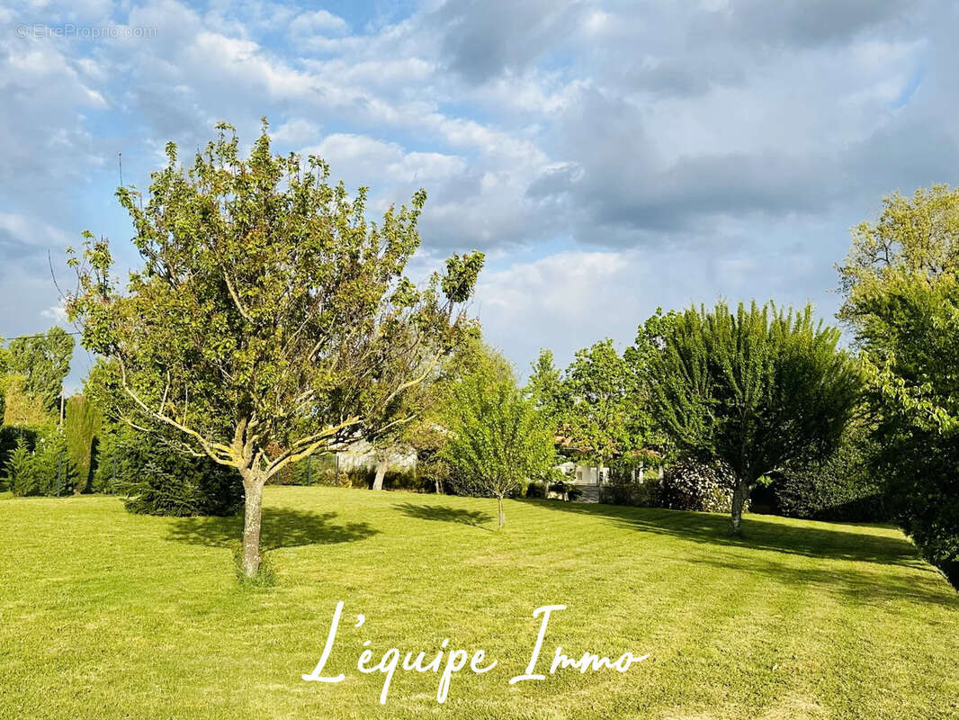 Terrain à L'ISLE-JOURDAIN