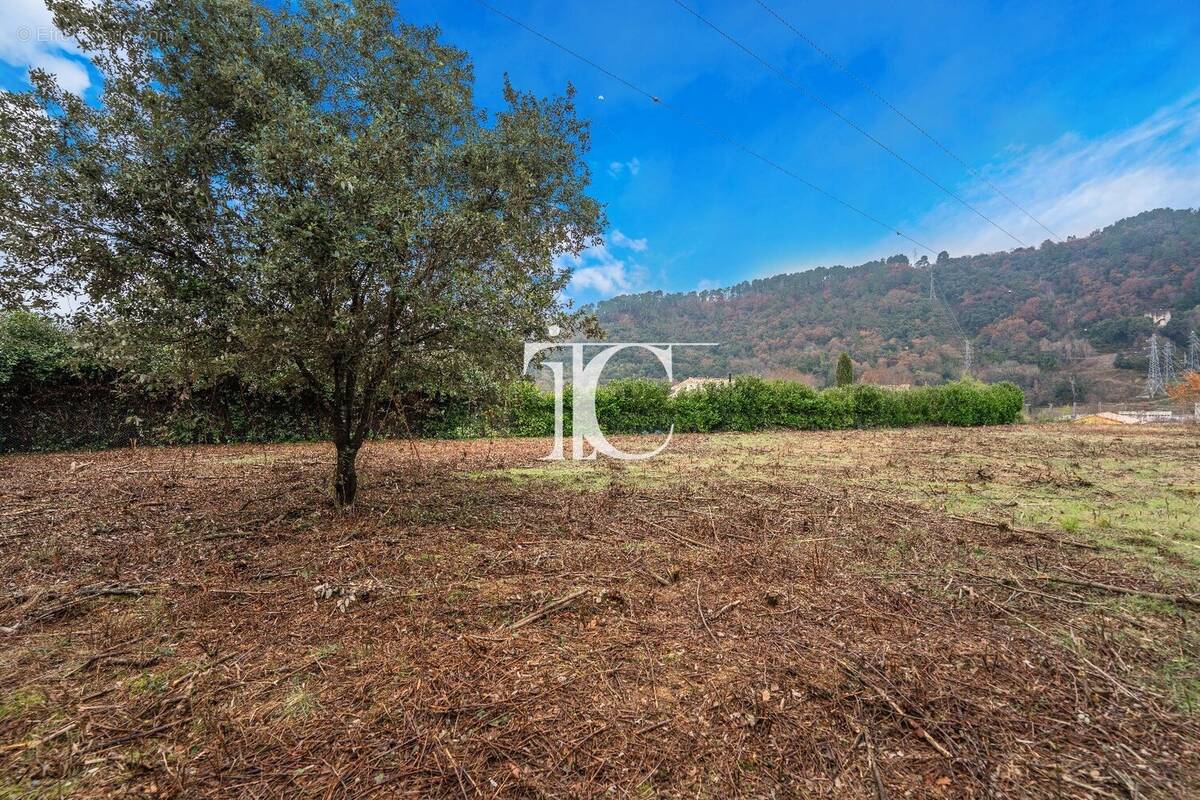 Terrain à CHAMBONAS