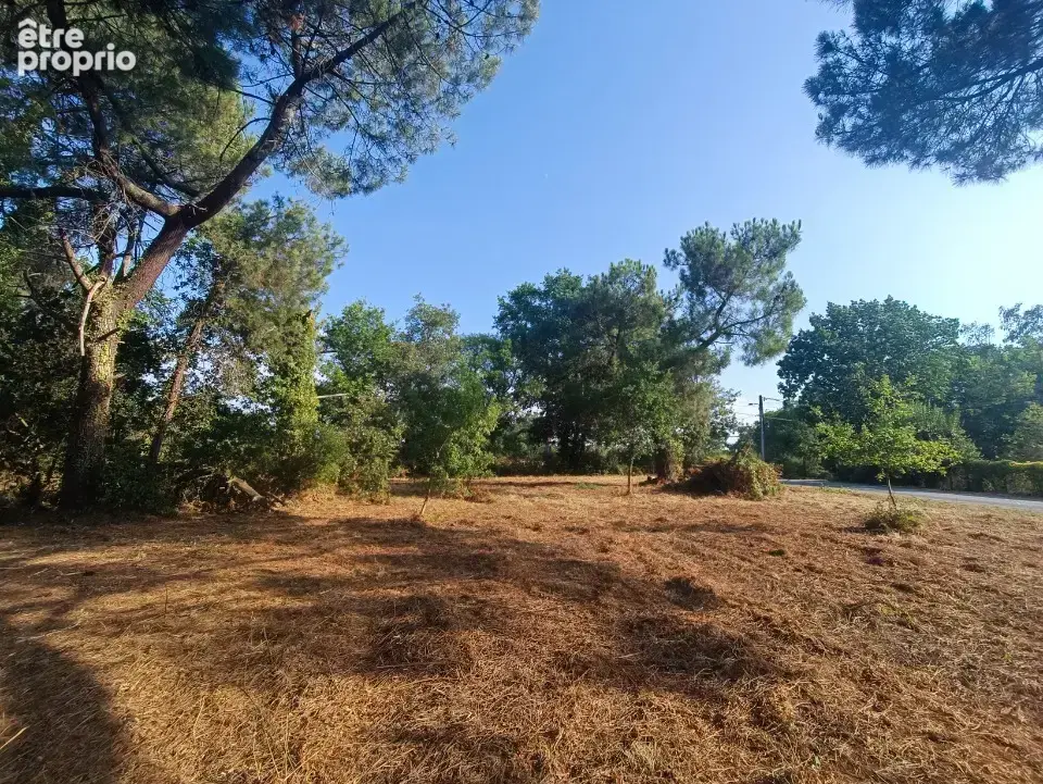 Terrain à MARTILLAC