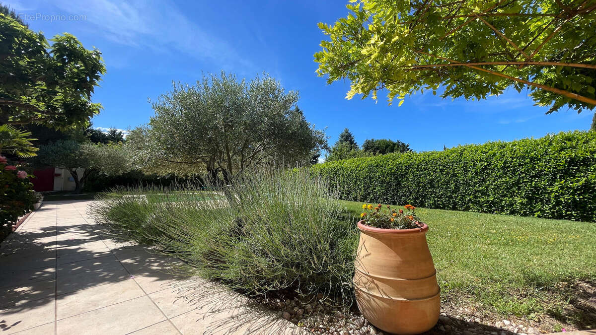 Maison à LA TOUR-D&#039;AIGUES
