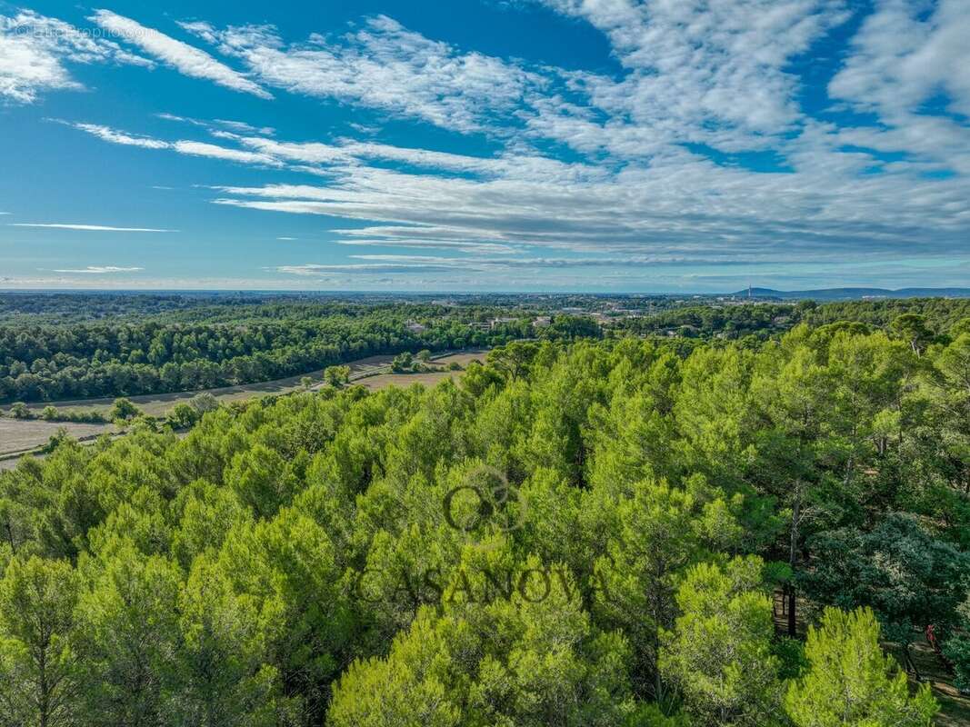 Terrain à SAINT-CLEMENT-DE-RIVIERE