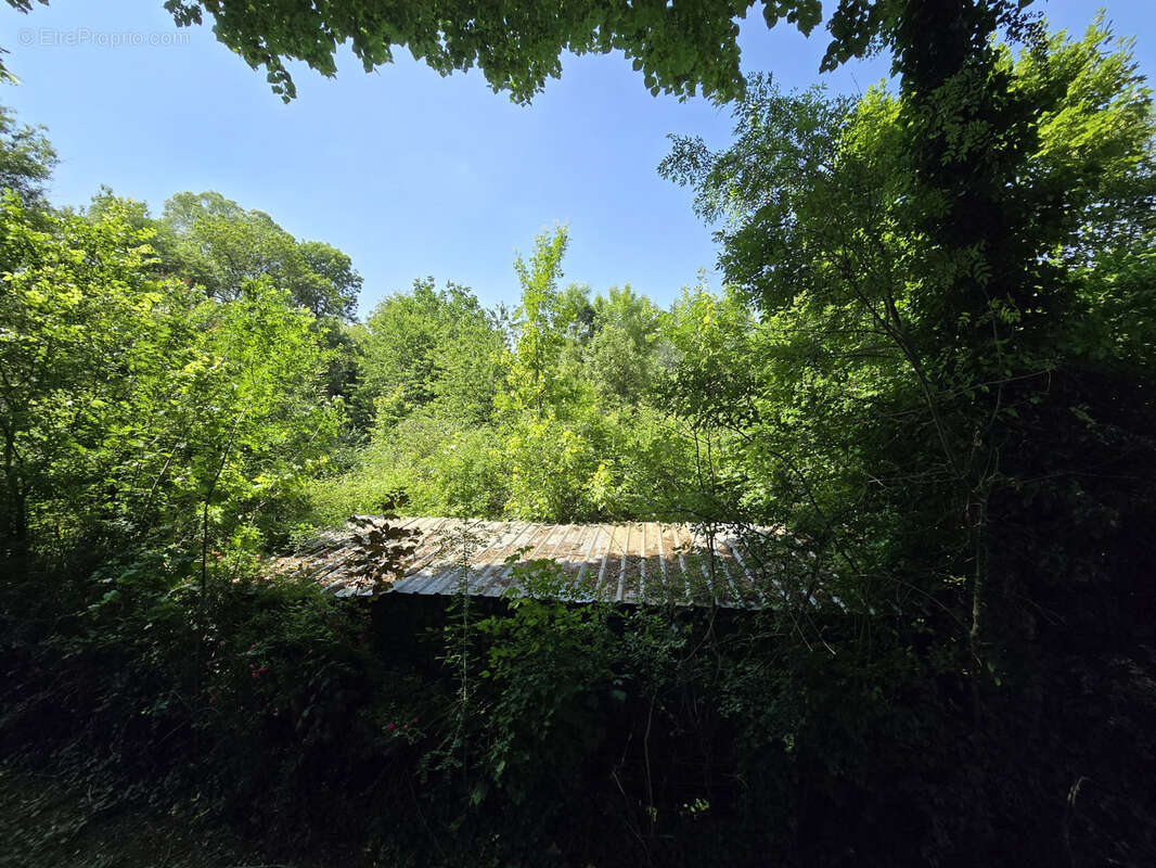 Terrain à CHATILLON-SUR-INDRE
