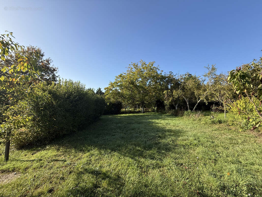 Terrain à AZAY-SUR-CHER