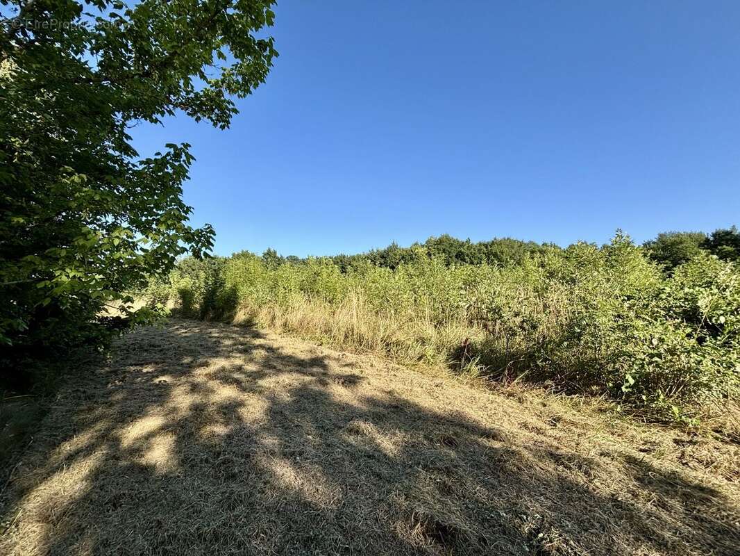 Maison à VILLENEUVE-SUR-LOT