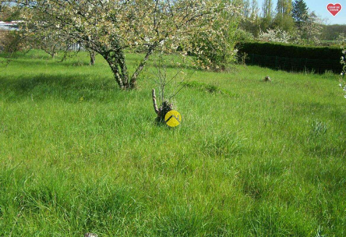 Terrain à BOURGES