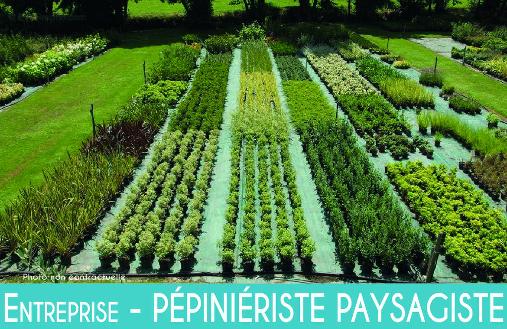 Commerce à LA ROCHE-SUR-YON