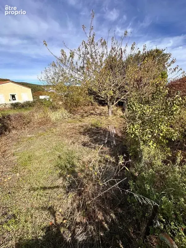 Maison À Vendre - photo 28