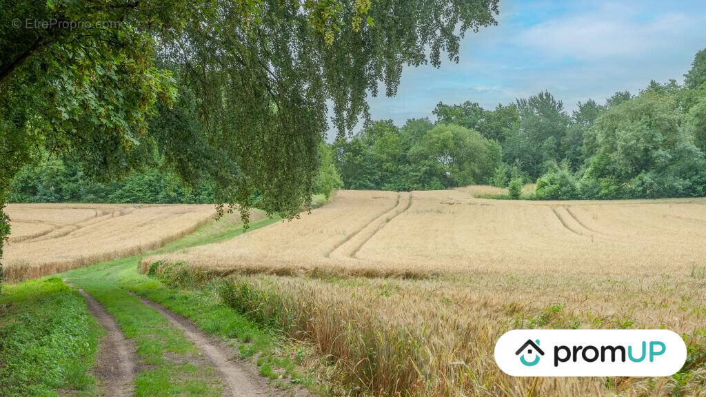 Terrain à COURMELLES