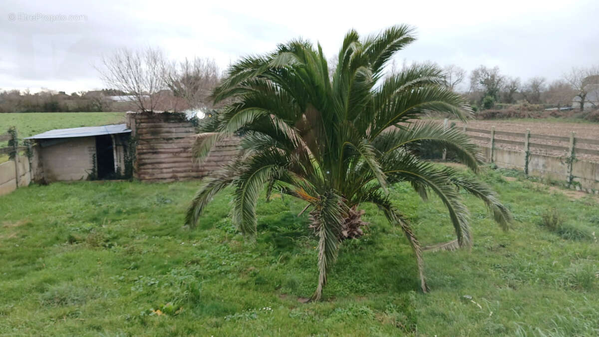 Maison à PLEUBIAN