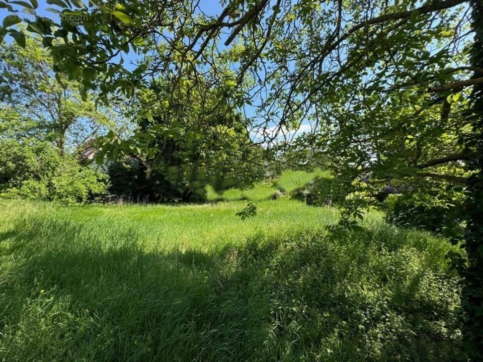 Terrain à MAURECOURT