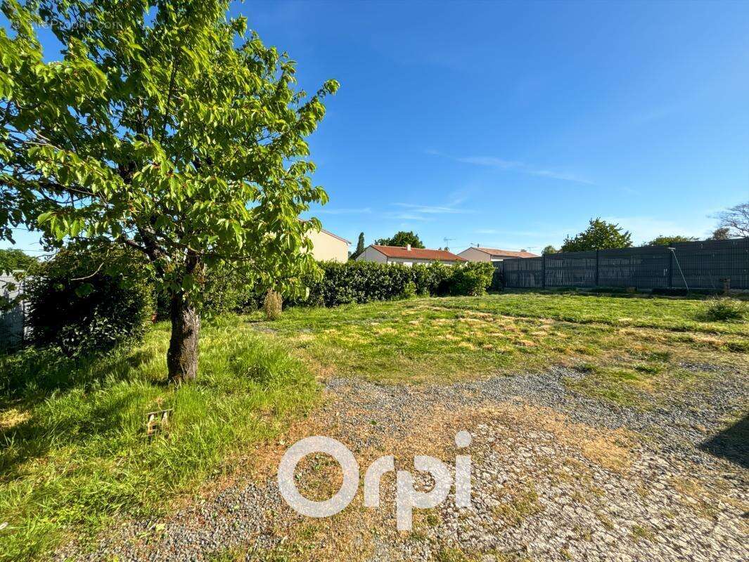 Maison à CHANTONNAY