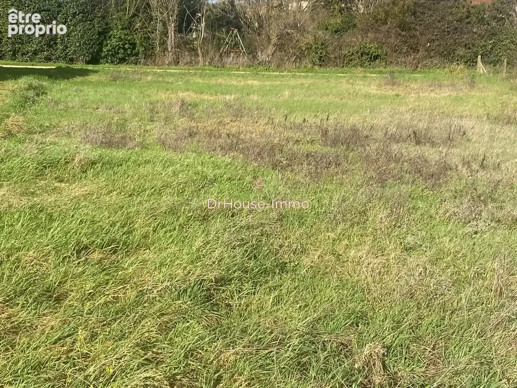 Terrain 748 m² à vendre à Cisse (86170) - photo 6