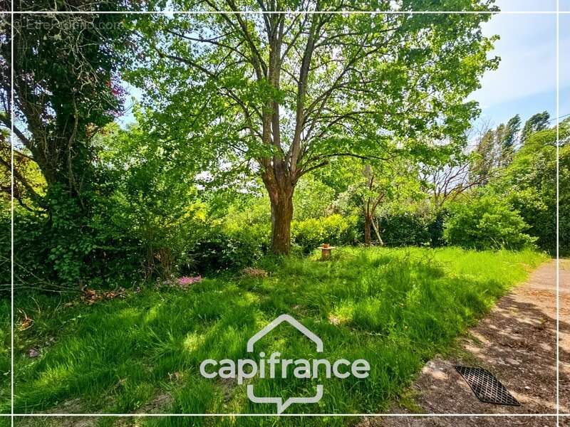 Maison à CASTELCULIER