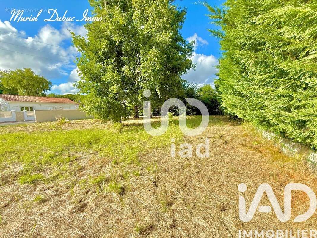 Photo 5 - Terrain à BREUILLET