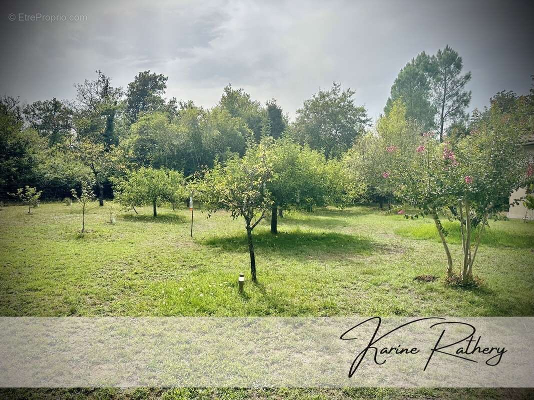 Maison à SAUGNACQ-ET-MURET