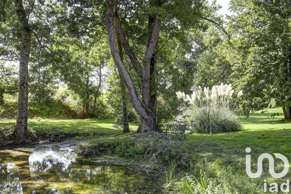 Photo 3 - Maison à BAZIEGE