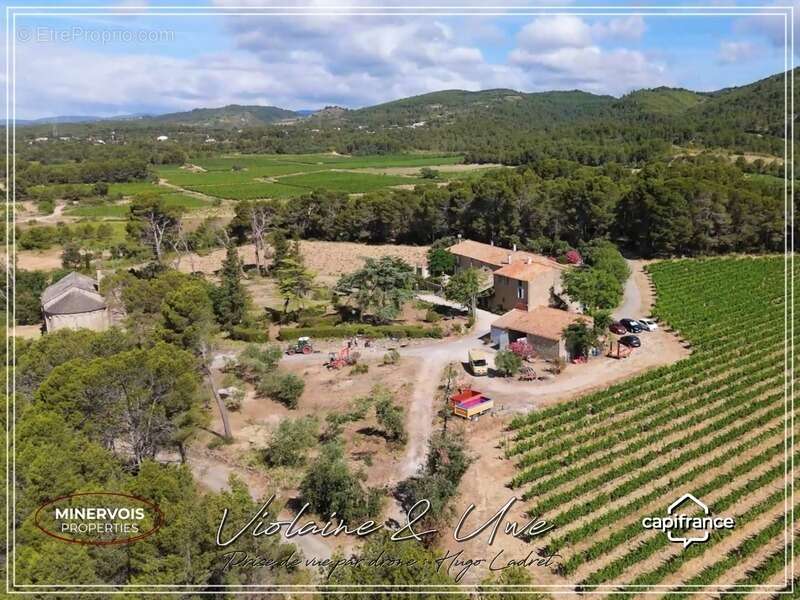 Domaine viticole d'exception de 47 hectares avec mas en pierre, gîtes et vignoble AOC Minervois – Hérault - photo 11