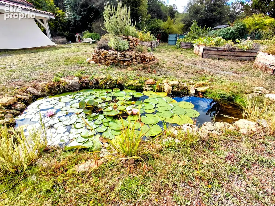 Périgourdine avec Gîte au calme de 4,5 hectares dans le Périgord Vert - photo 46