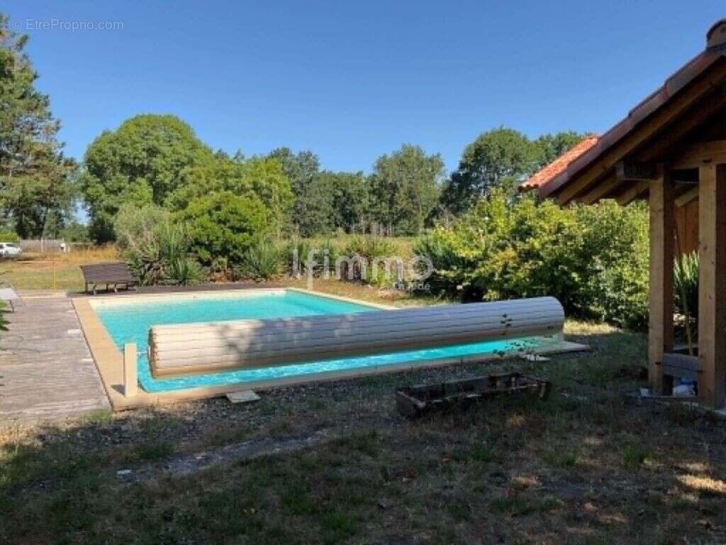 Maison landaise avec piscine, dépendance et terrain - photo 3
