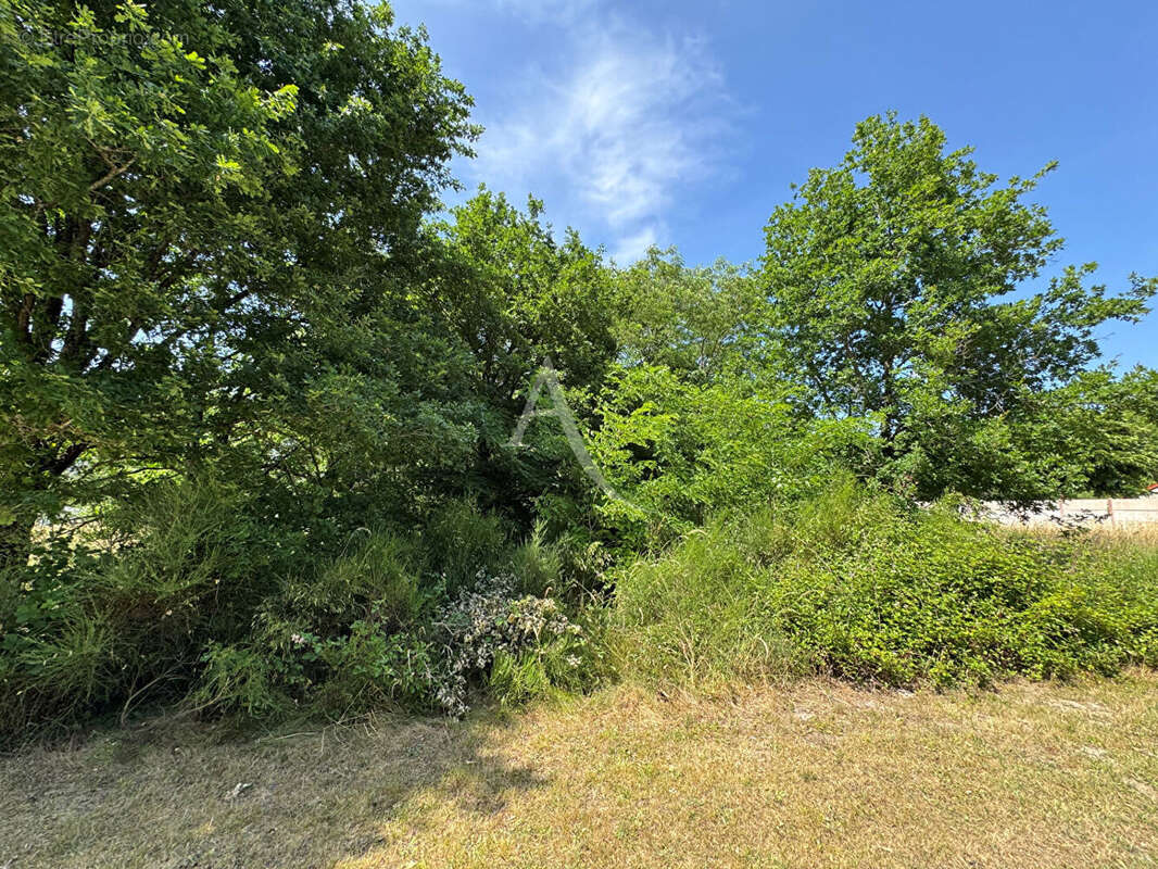 Terrain à ROMORANTIN-LANTHENAY