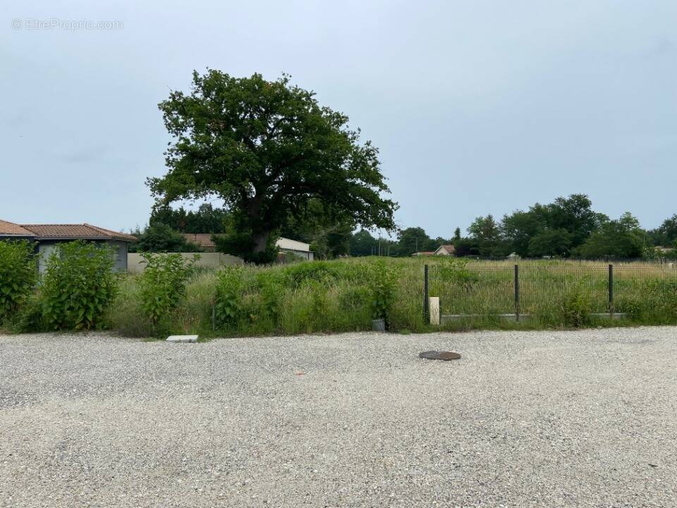 Terrain à LA BREDE