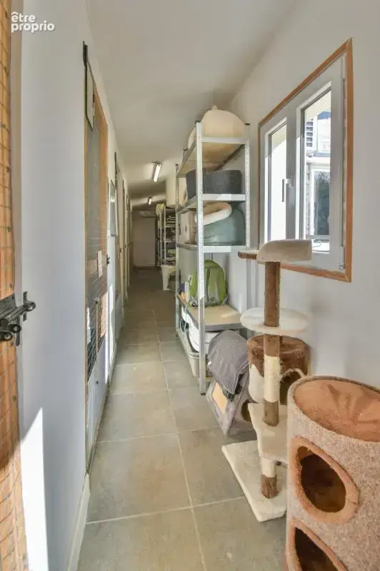 Maison rénovée de 4 chambres avec chatterie professionnelle - photo 29