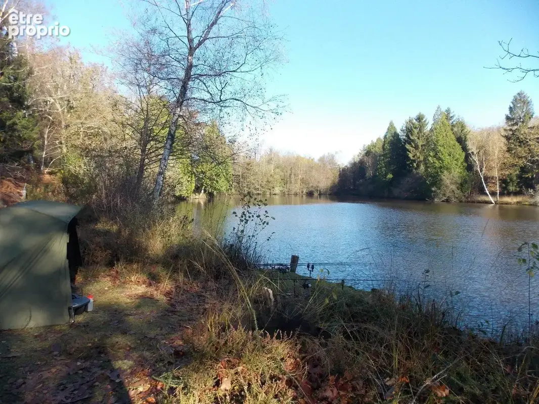 Étang de pêche dans un environnement paisible - photo 5