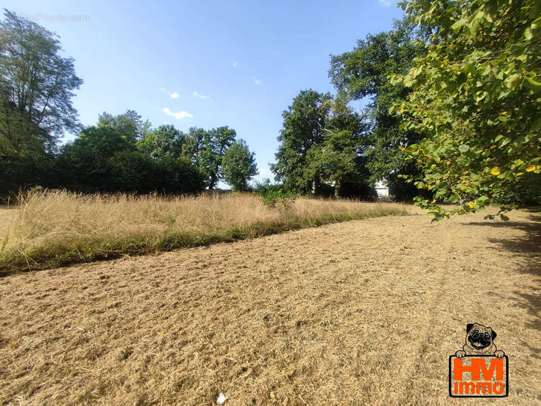 Terrain 3644 m² à Le Vigen  - photo 2