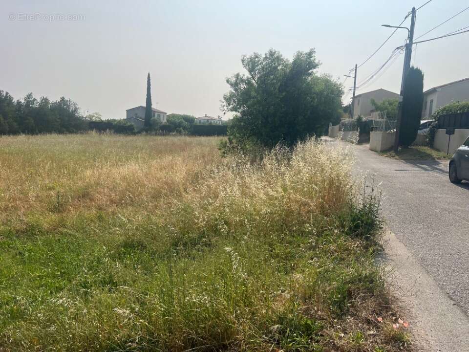 Terrain 400 m² à Alleins  - photo 5