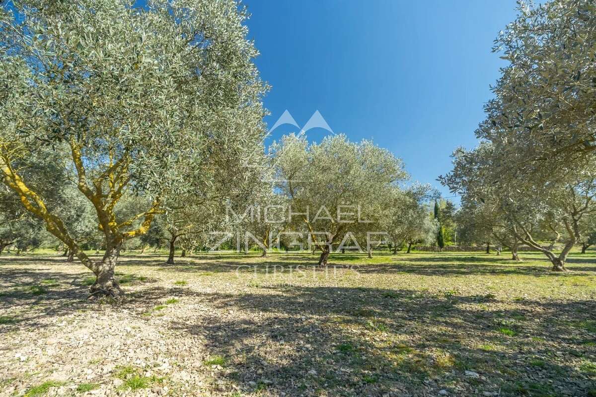 Maison à SAINT-REMY-DE-PROVENCE