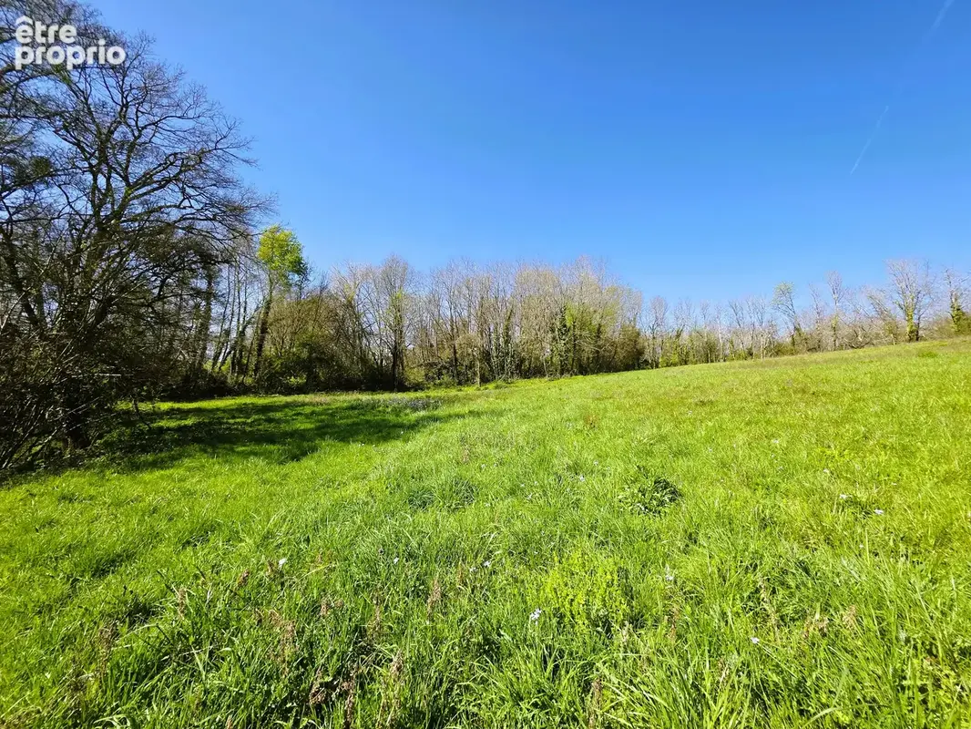 Vente Terrain Agricole Proche Monségur - photo 4