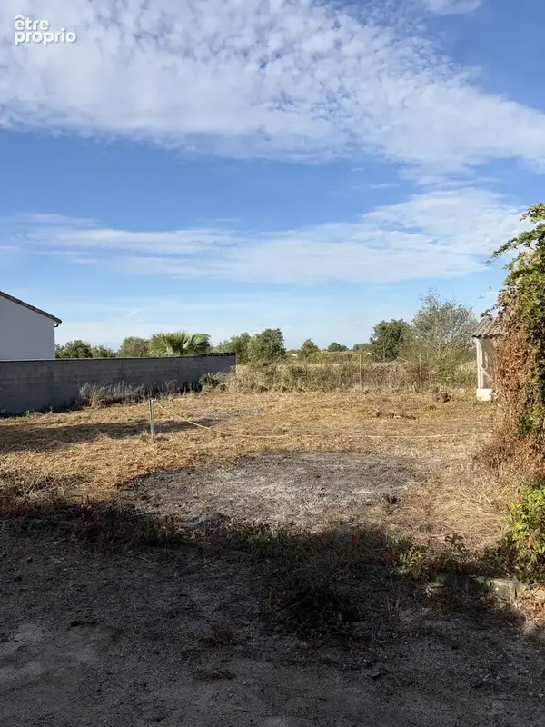 Photo Terrain à Noe au prix de 70 000€