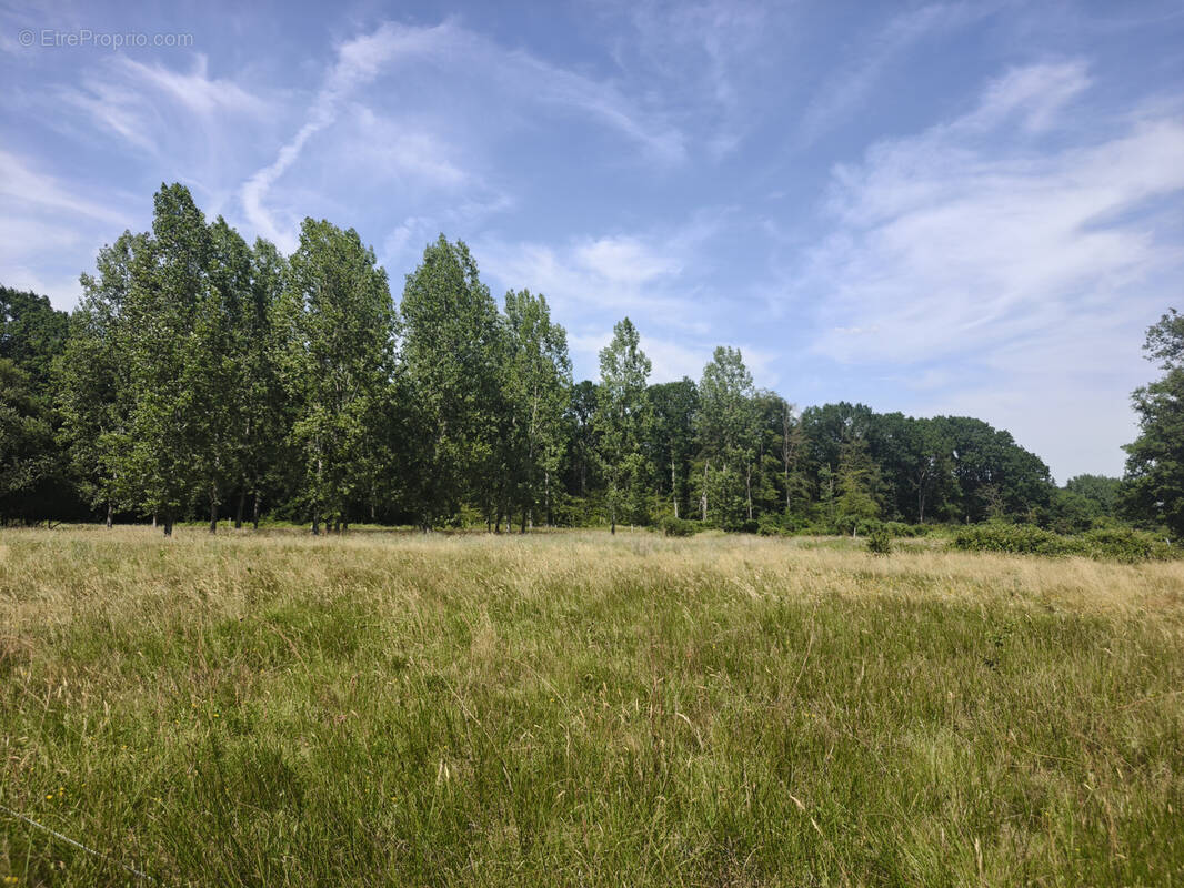 Terrain à COURTONNE-LA-MEURDRAC