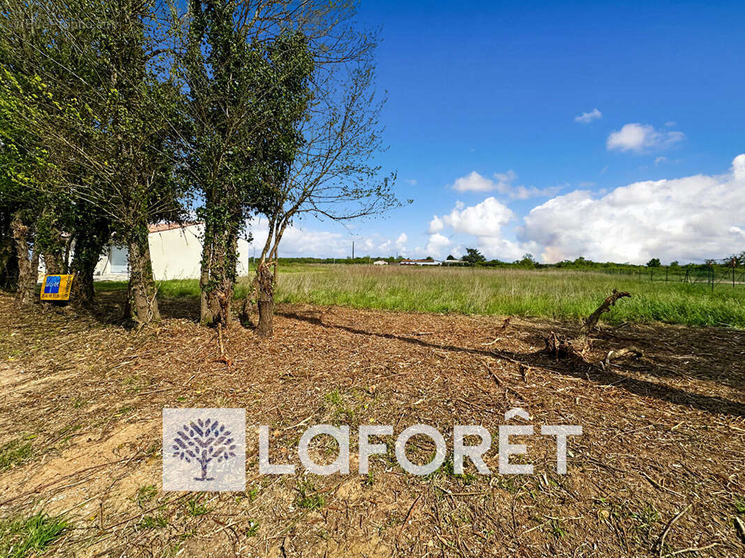 Terrain à SAINT-QUANTIN-DE-RANCANNE