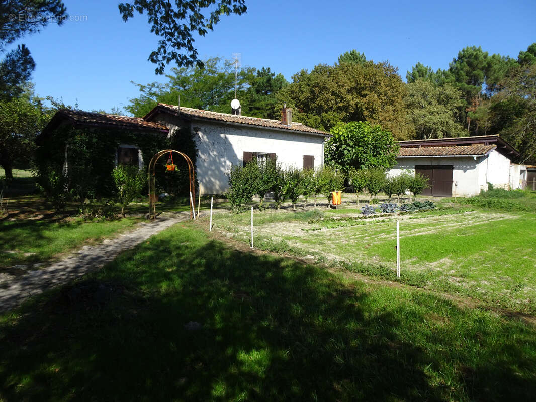 Propriété comprenant 2 habitations et terrain de plus 8 hectares - photo 4