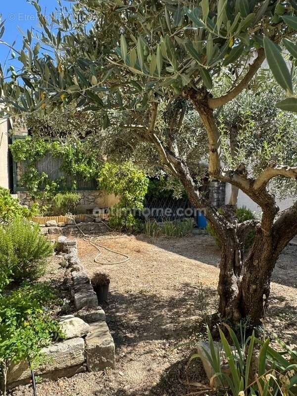 Maison à SAINT-REMY-DE-PROVENCE